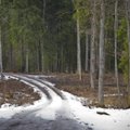 Pagrindiniai keliai - sausi, miškingose vietovėse yra slidžių ruožų