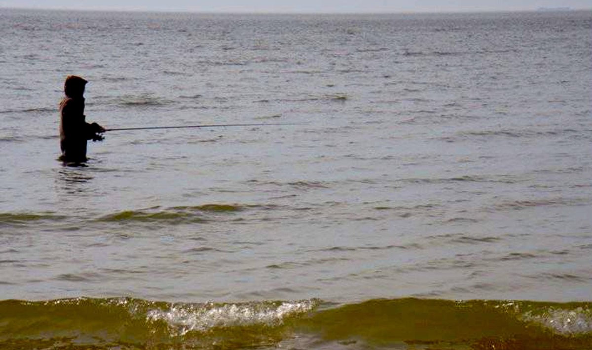 Žvejyba įsibridus Baltijos jūros priekrantėje