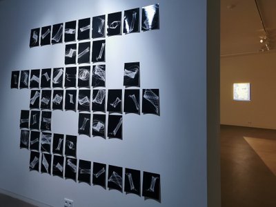 Kolektyvinė paroda sostinės Prospekto galerijoje „Garso ir tylos autografai“ (Gytis Skudžinskas)