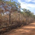 Žolės deginimas: Lietuvoje nusikaltimas, Australijoje – būtinybė