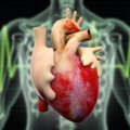 Mitų apie organų donorystę mažėja