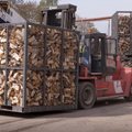 „Vli Timber“ investuoja 2,5 mln. eurų ir kuria dar 20 naujų darbo vietų
