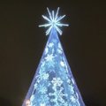 Pasigrožėkite: Vilniaus Kalėdų eglė papuošė Katedros aikštę
