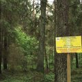 Šalyje pradedama pakartotinė kertinių miško buveinių inventorizacija
