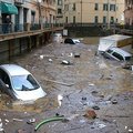 Liūtis Italijoje Genujos mieste nusinešė šešias gyvybes