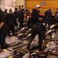 Tokijo žuvų turguje vykusiame aukcione tunas parduotas už 108 tūkstančius eurų