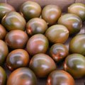 Juodieji pomidorai: geriausios veislės ir hibridai, skirti auginimui šiltnamyje