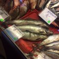 Ant turgaus prekystalių – žuvis, kurios geriau nepirkti: kaip ją atskirti?