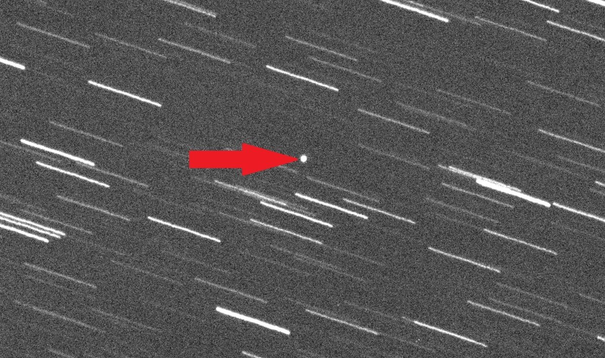 Asteroidas 2008 OS7. Gianluca Masi/The Virtual Telescope Project nuotr.