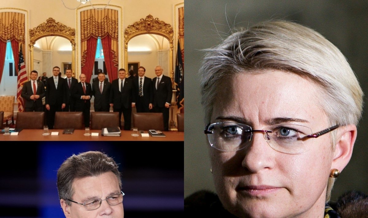 Neringa Venckienė, Baltijos šalių vizitas JAV, Linas Linkevičius