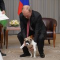 Ištikimybės demonstravimas: Turkmėnijos lyderis V. Putinui padovanojo šunį „Vernyj“