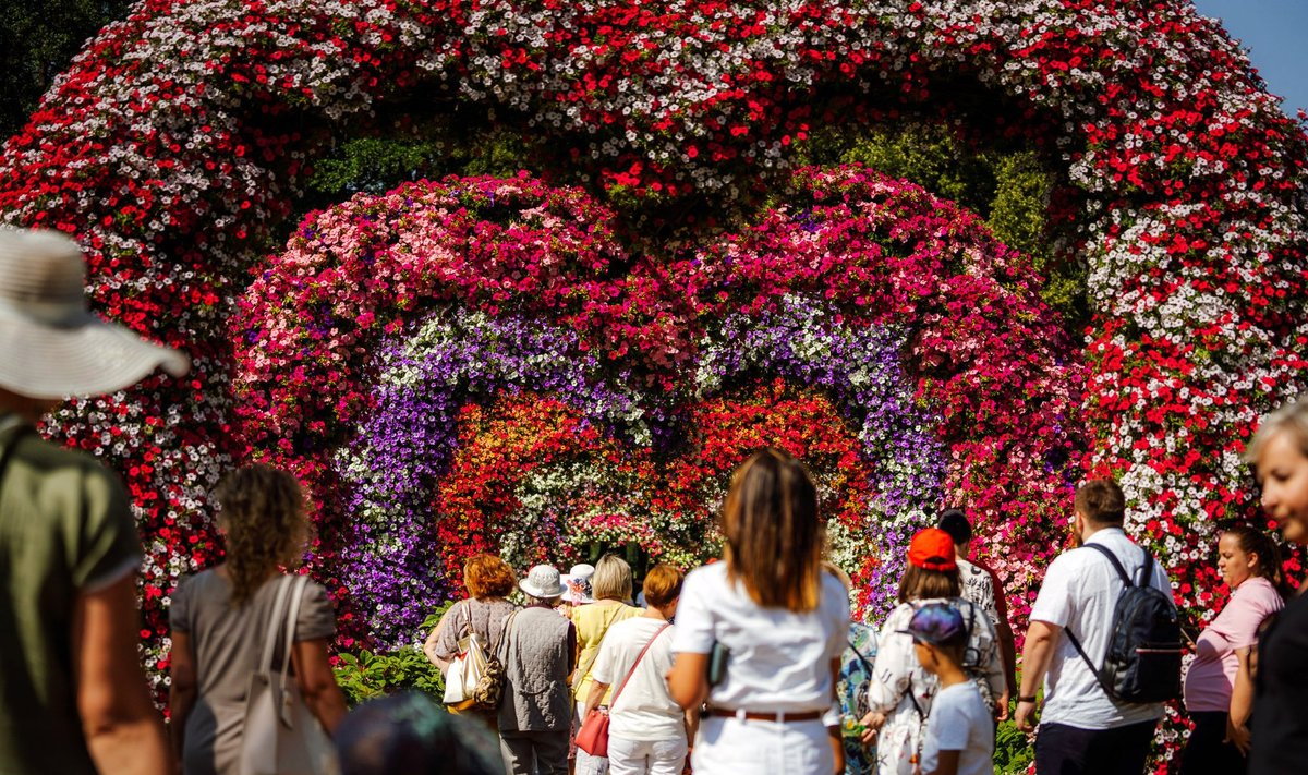 Gėlių, meno ir meilės festivalis Pakruojo dvare