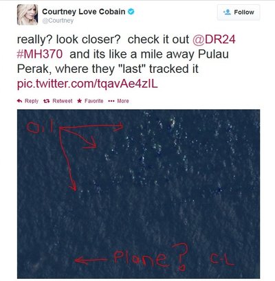 Courtney Love rado lėktuvą