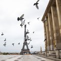 Prancūzijos kultūros įstaigos protestuoja prieš karantiną