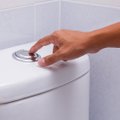 Iš Lazdijų savivaldybės administracinio pastato tualetų pavogtos dezinfekcijos priemonės