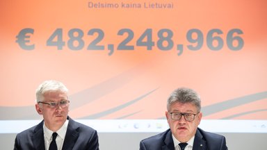 Lietuvai gresia milijardiniai nuostoliai: Vyriausybės delsimas kainuoja 1 mln. eurų per darbo dieną