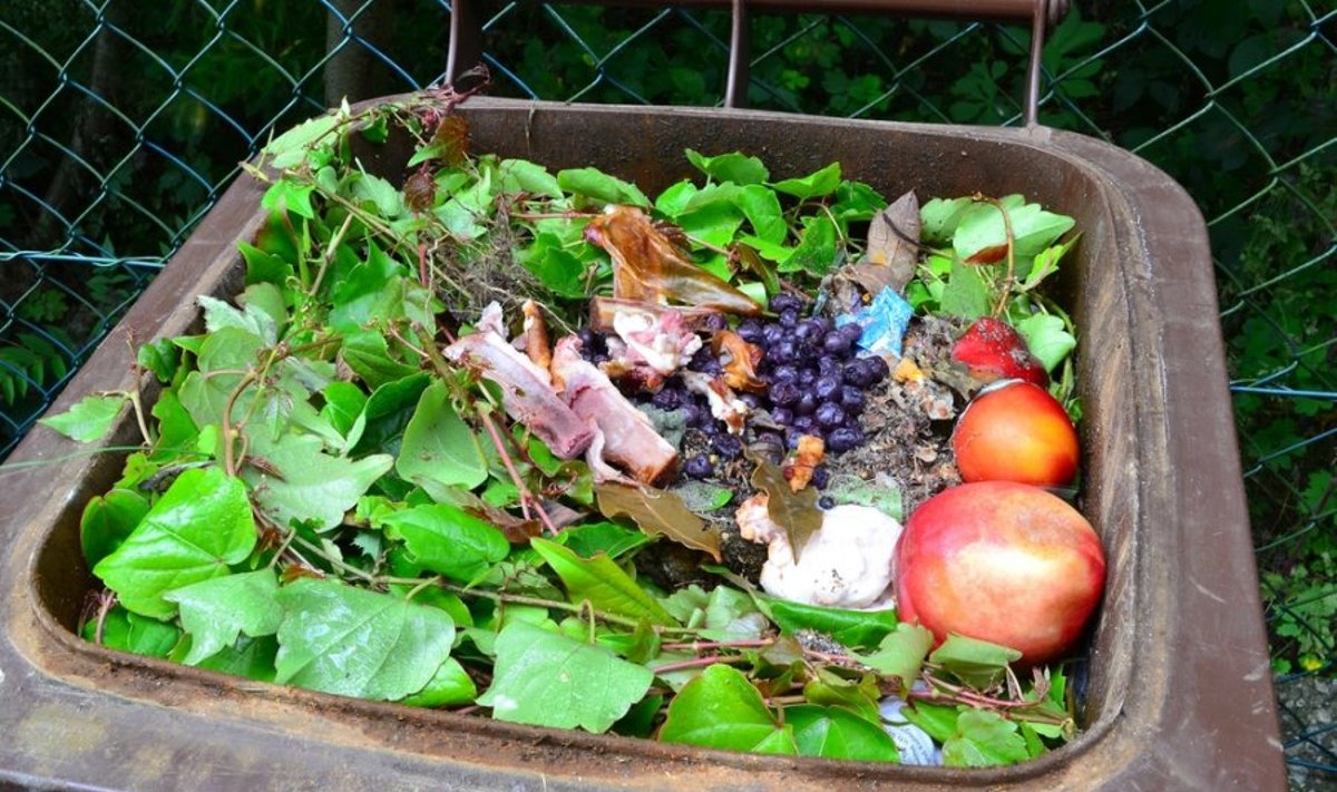 Maisto atliekos galėtų virsti kompostu arba biodujomis
