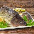 Skaičiuojantiems kalorijas – maistingi žuvies patiekalai