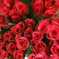 Kaune iš kiosko pavogti du kibirai rožių
