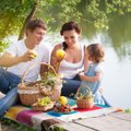 Опрос: идеальная литовская семья – брак, 2-3 детей и развод
