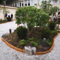 Klaipėdoje įrengtas japoniškas sodas, o netrukus atsiras ir sakurų parkas