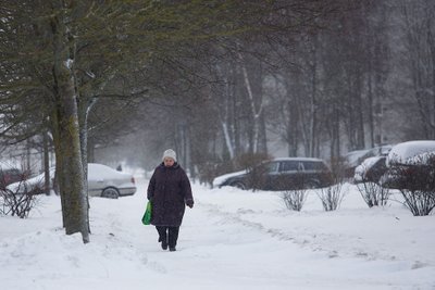 A senior citizen in Vilnius
