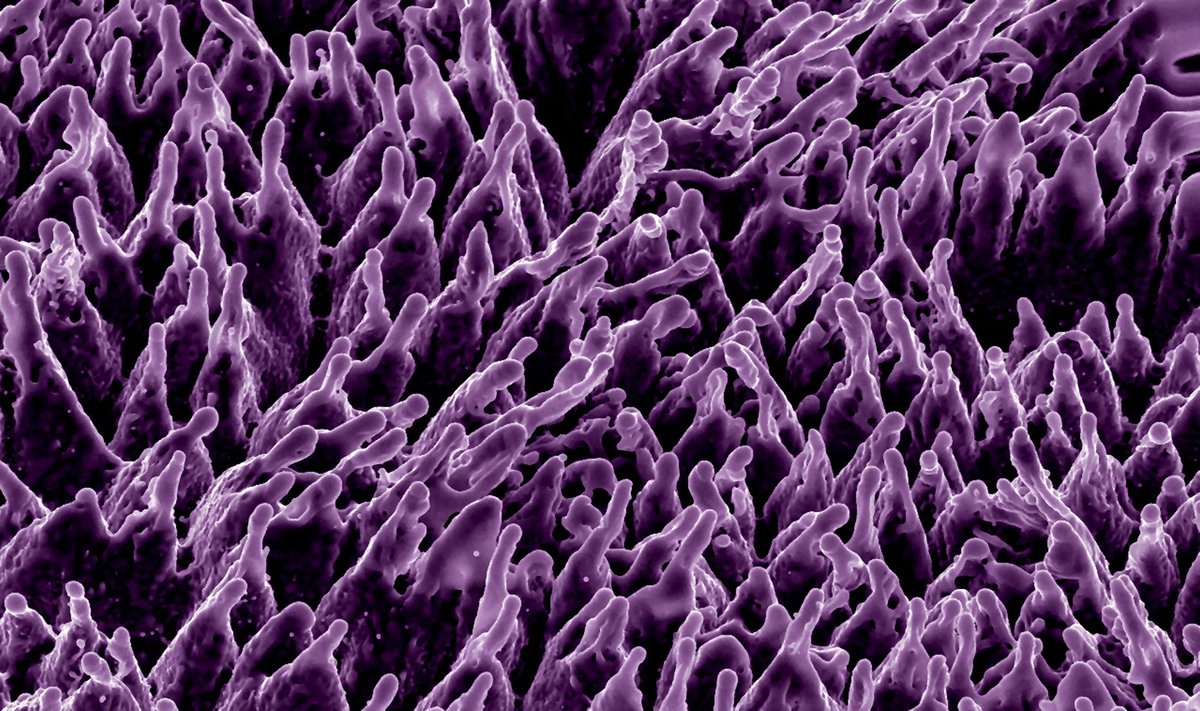 Nanotechnologiniu būdu sukurtas paviršius