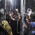 Migrantų krizė: Amsterdame nuskambėjo siūlymas izoliuoti Graikiją