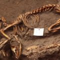 Meksike aptikta actekų šunų laidojimo vieta