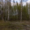 Aplinkos ministerija: Lietuvos ekosistemoms išsaugoti bus rengiami specialūs žemėlapiai