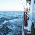 Gamtininkus neramina menkių žvejyba Baltijos jūroje