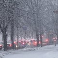 Синоптики предупреждают: в Вильнюсе скоро пойдет снег