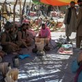 JT ataskaita: Afganistane auga opijaus gamyba