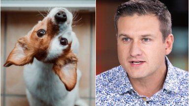 Veterinaras įspėja, kodėl namuose nutinka „gamtinių reikalų“ nelaimės: to neišvengia nei šunų, nei kačių šeimininkai