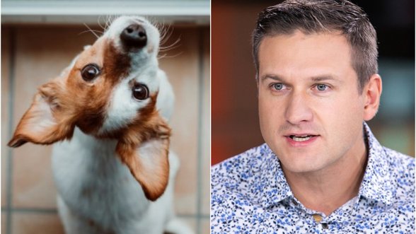 Veterinaras įspėja, kodėl namuose nutinka „gamtinių reikalų“ nelaimės: to neišvengia nei šunų, nei kačių šeimininkai