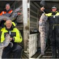 Norvegijoje žvejus džiugina įsibėgėjęs vilkžuvių gaudymo sezonas