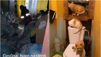Dviejų kambarių bute alytiškė aptikta su 28 gyvūnais: gelbėtojai parodė, kokį košmarą jie išgyveno