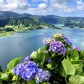 Turistų akiratyje atsidūrę Azorai vadinami rojumi Europoje: nuostabi gamta, ištisus metus vasariškas oras ir nedidelės kainos