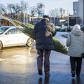 Apklausa parodė netikėtus kartų skirtumus: lietuvių požiūris į kalėdinę eglę priklauso nuo amžiaus