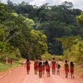 Neįtikėtina IT specialisto istorija: mėnesį praleido su Amazonės gentimi ir tai jo gyvenimą apvertė aukštyn kojom