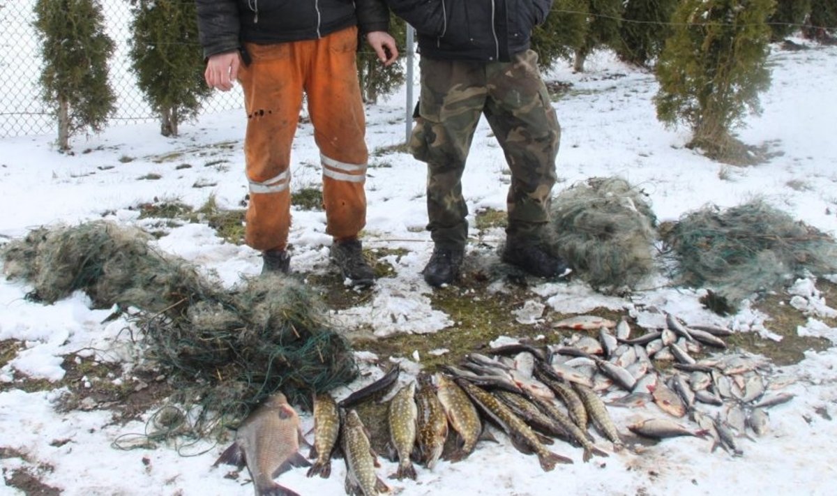 Kartais į aplinkosaugininkų rankas pakliūna du laimikiai - brakonieriai ir kalnas jų sugautų žuvų 