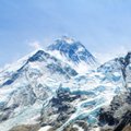 Indijos Himalajuose pastebėta dingusios alpinistų grupės narių kūnų