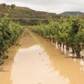 Ispaniją užklupo smarkios audros ir potvyniai