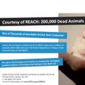 Gyvūnų teisių gynėjai: Europoje gyvūnai tyrimams naudojami beatodairiškai