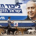 Предварительные результаты выборов в Израиле: правые побеждают