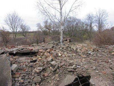 Beveik sugriuvęs statinys Žagarės regioniniame parke - prieš tvarkymą