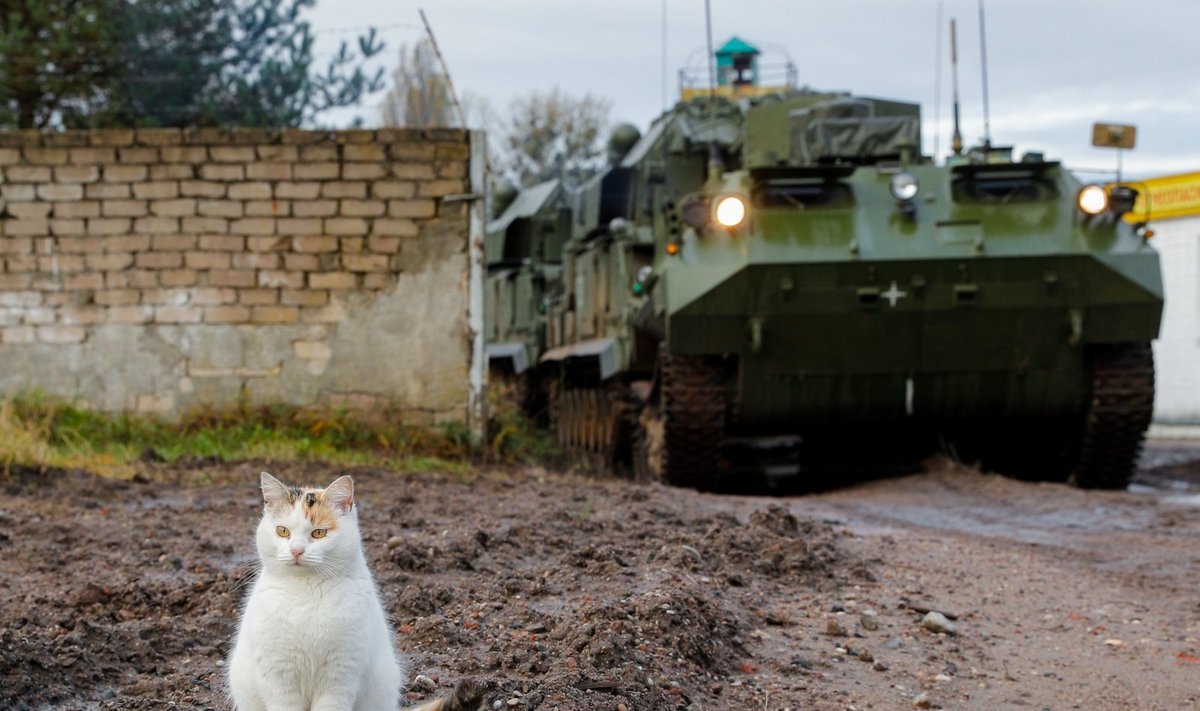 Rusijos karinė technika ir katinas