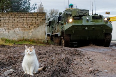 Rusijos karinė technika ir katinas