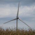 Mažeikių rajone pradedami vėjo jėgainių parko paruošiamieji darbai