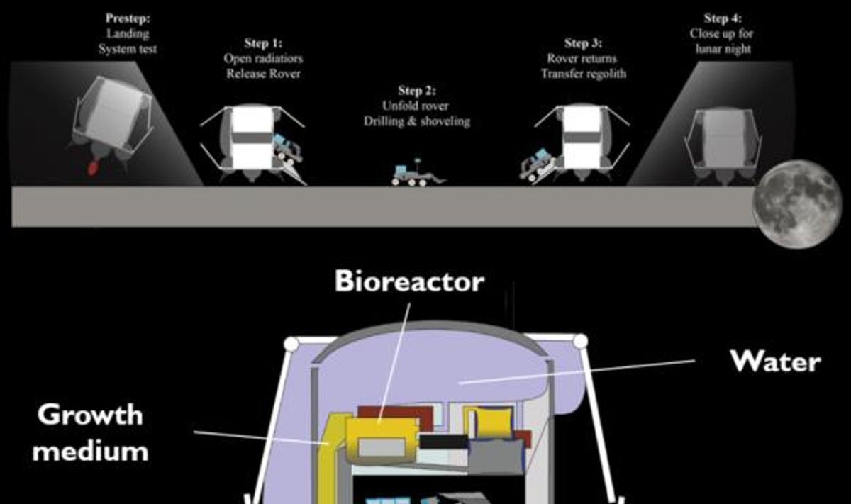 Bioreaktorius